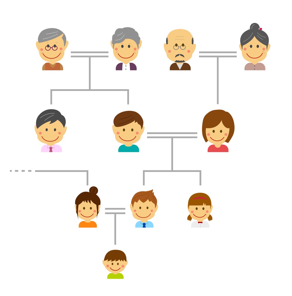 法定相続人を確認するための家系図イメージイラスト