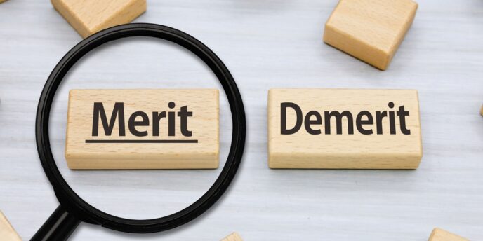 虫眼鏡で強調された Merit ブロックと Demerit ブロック