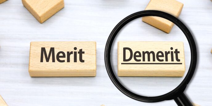 虫眼鏡で強調された Demerit ブロックと Merit ブロック