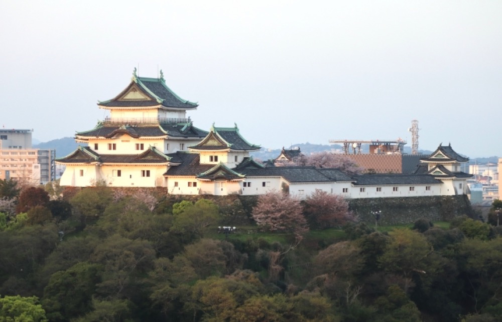 丘の上に建つ城郭の外観